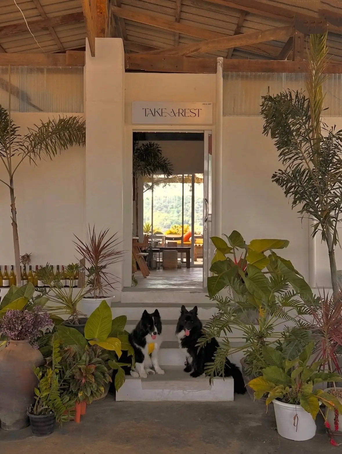 เทค อะ เรสต์ pets image 1