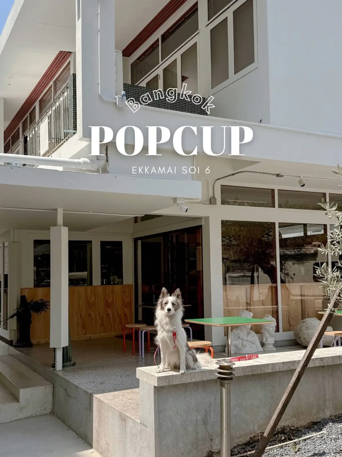 POPCUP EKKAMAI overall image 1