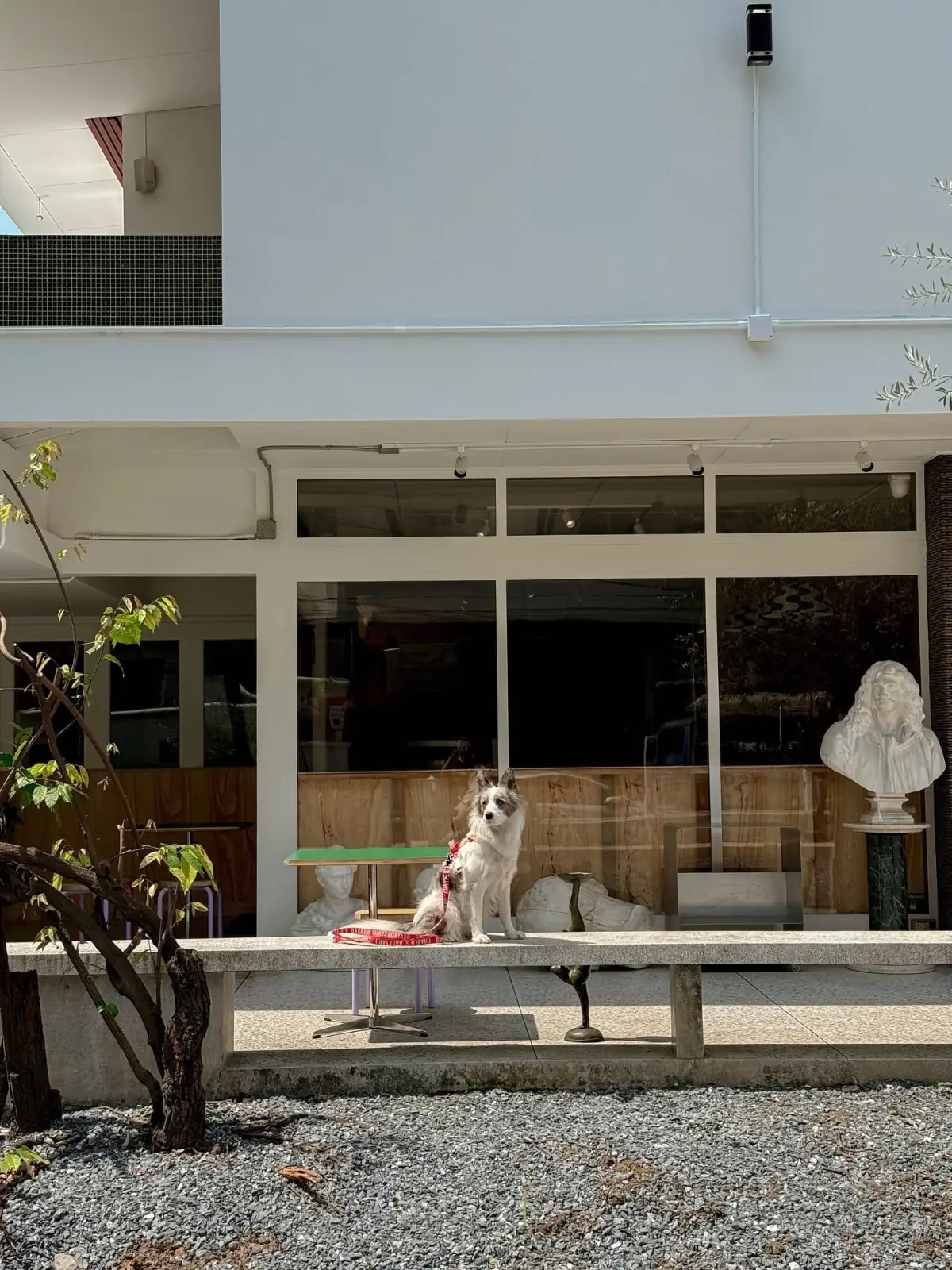 POPCUP EKKAMAI overall image 2