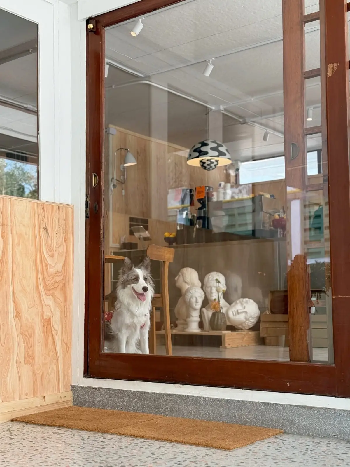 POPCUP EKKAMAI overall image 3