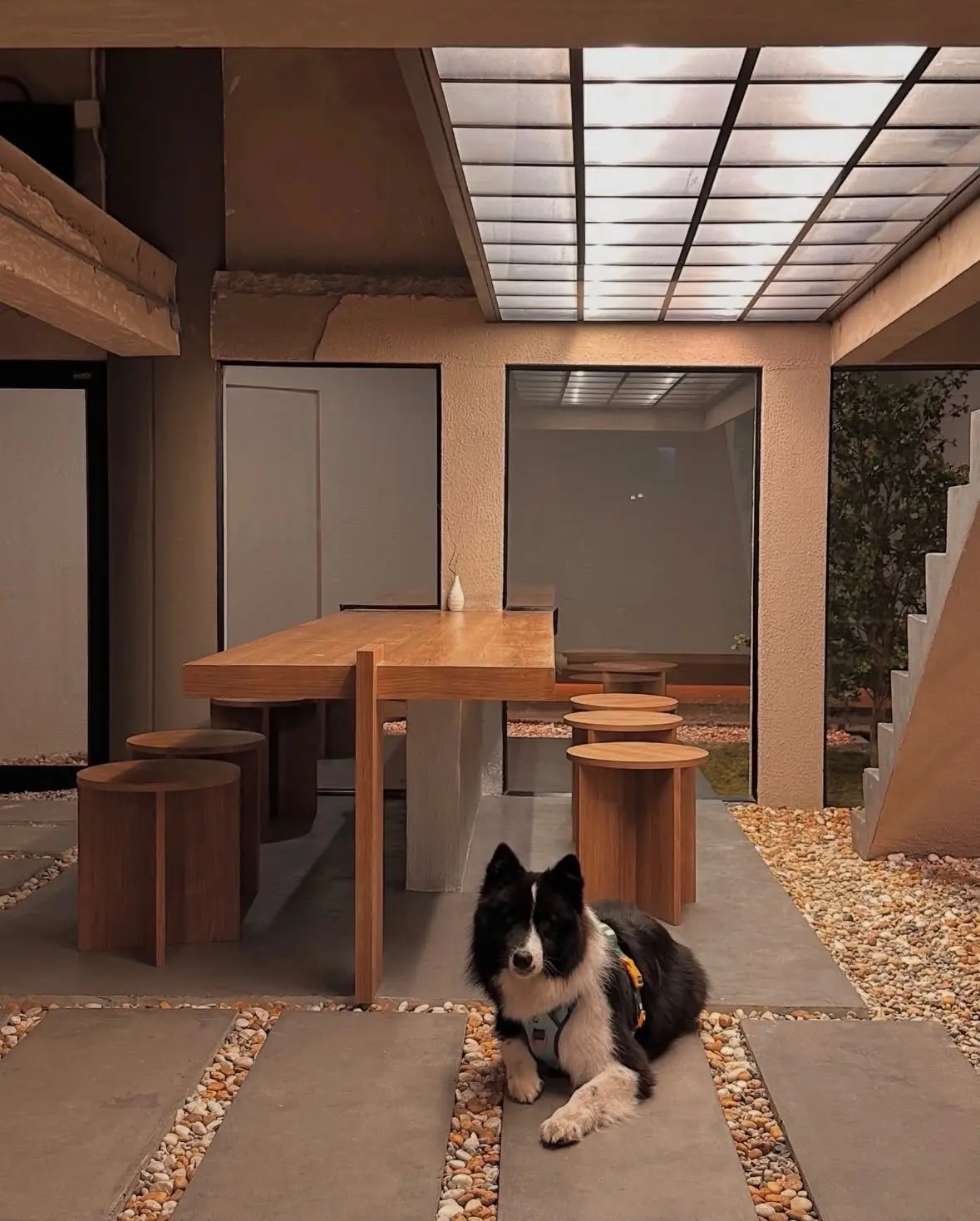 Warden Matcha Bar and Space pets image 2