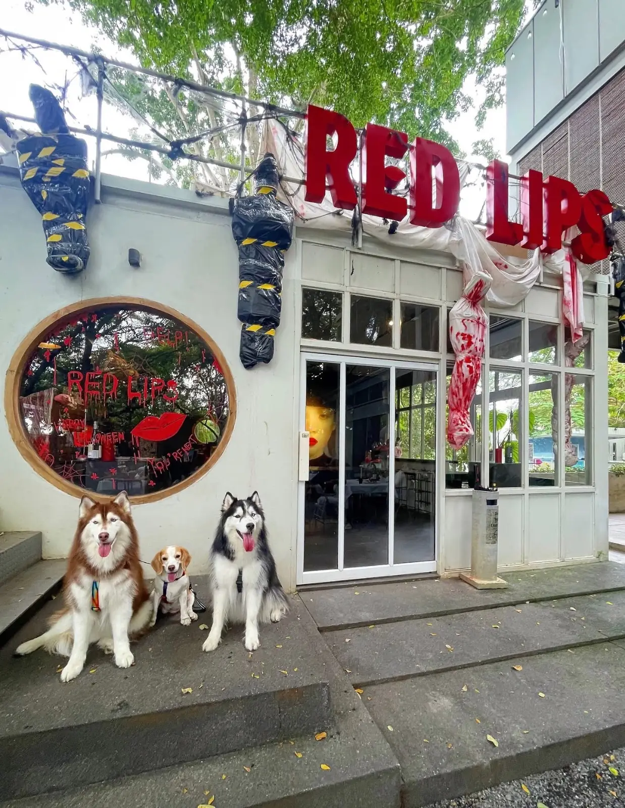 Red Lips Cafe & Art Space pets image 3