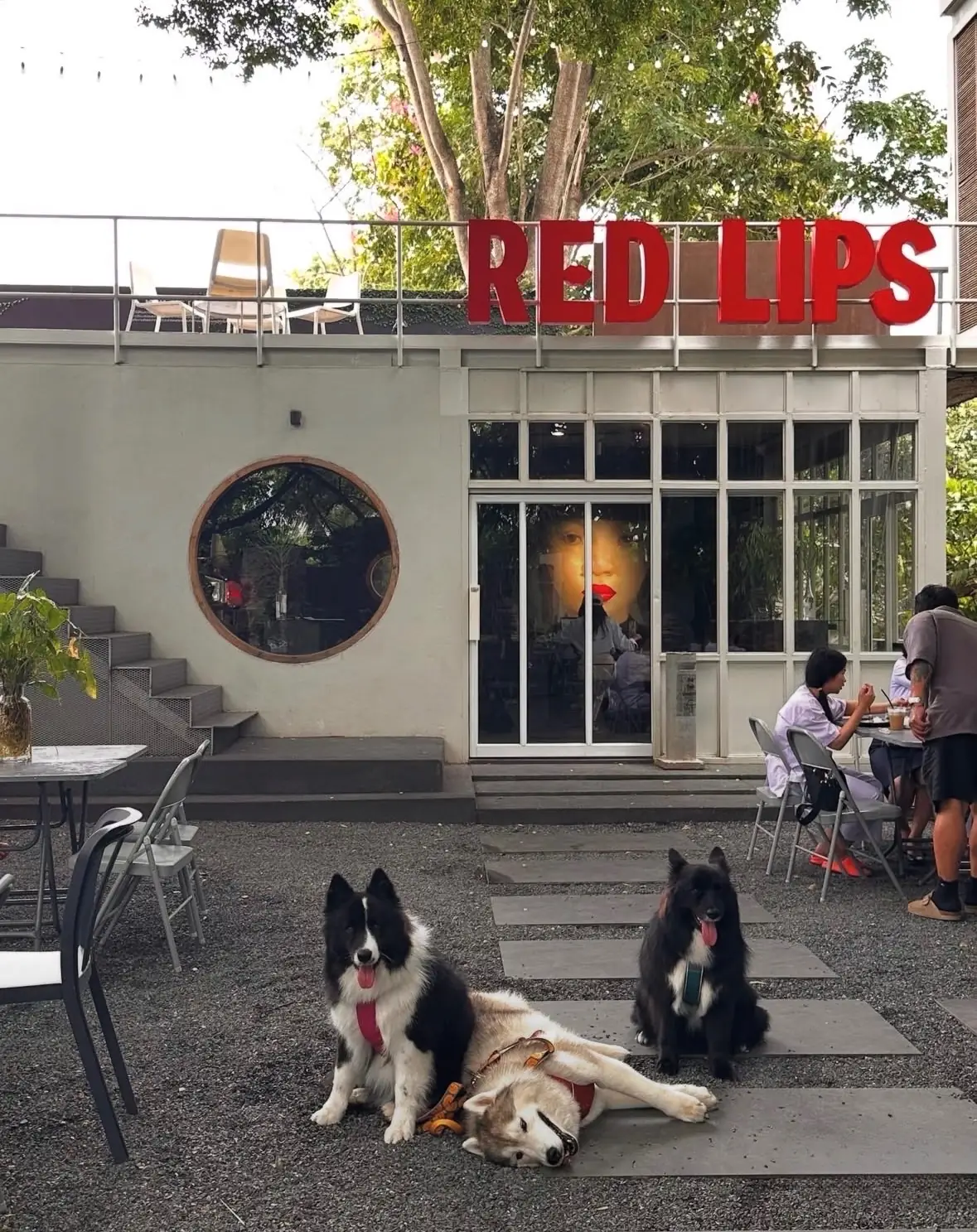 Red Lips Cafe & Art Space pets image 1