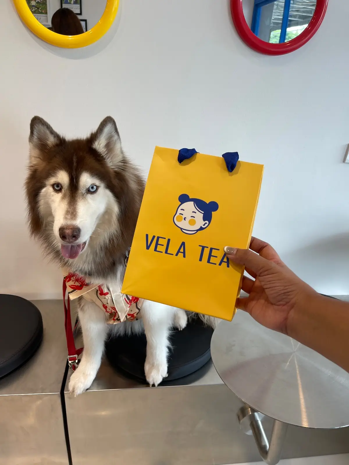 Vela Tea pets image 3