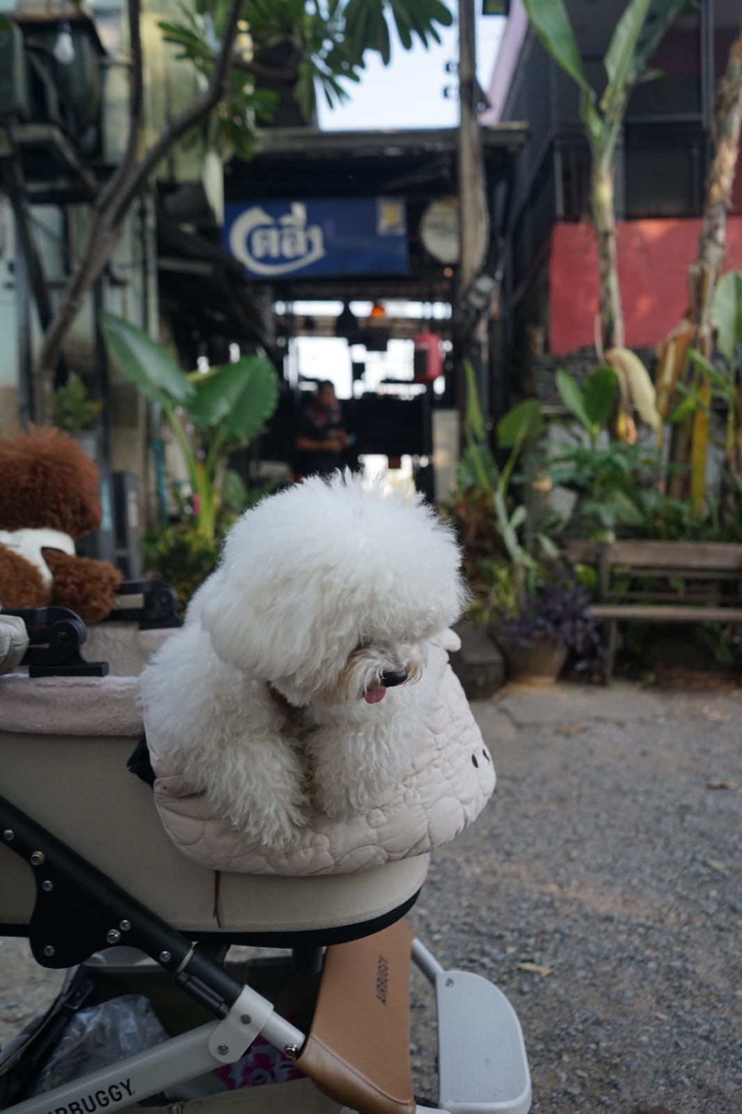 Ta-ling bar & Wang Lang View hero image 2