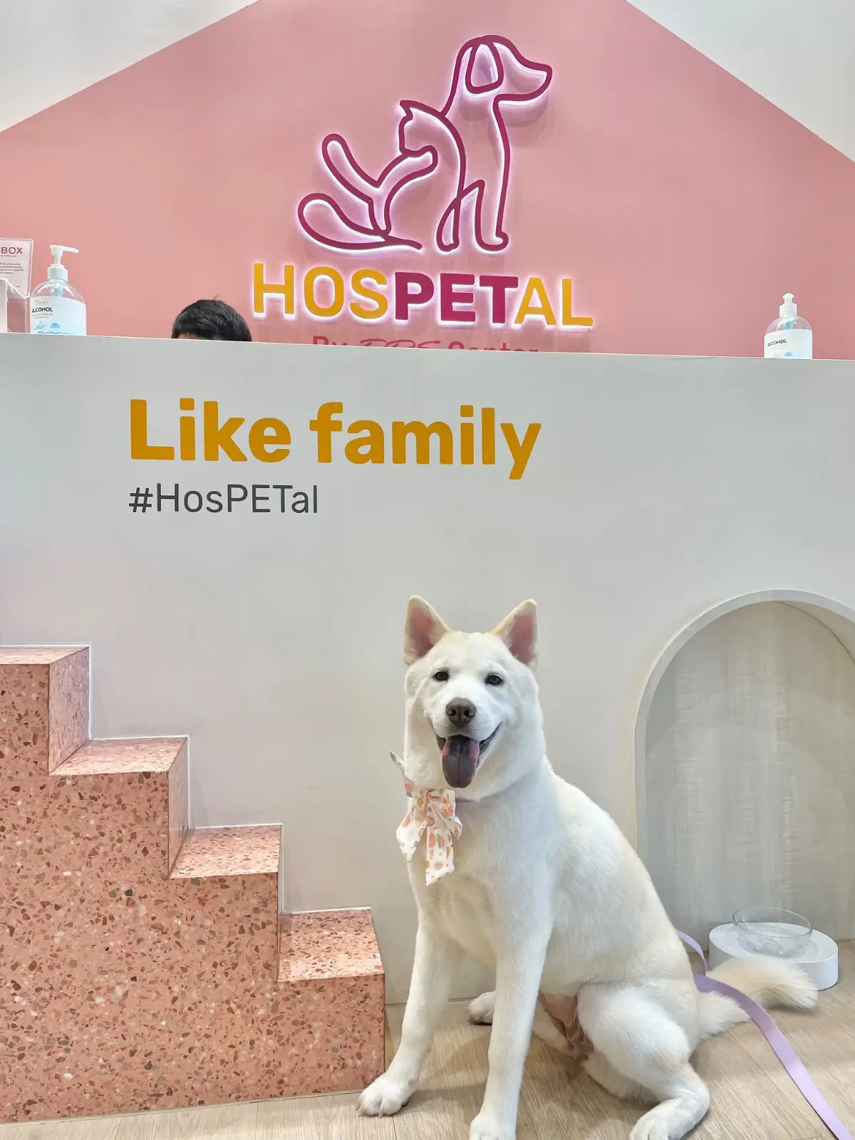 HOSPETAL By PRS Center pets image 1