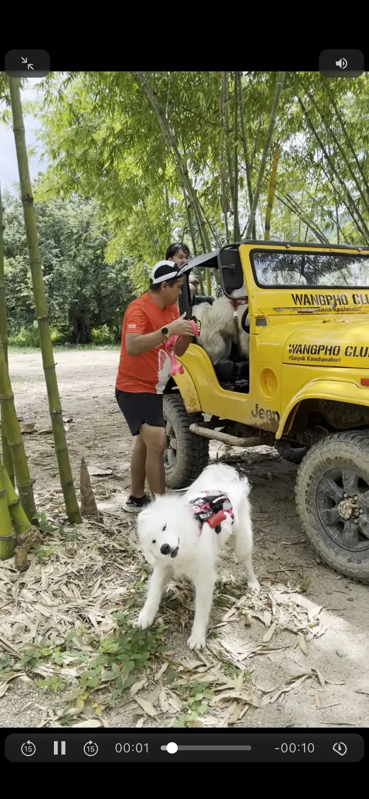 บ้านไร่ชายทุ่ง pets image 1