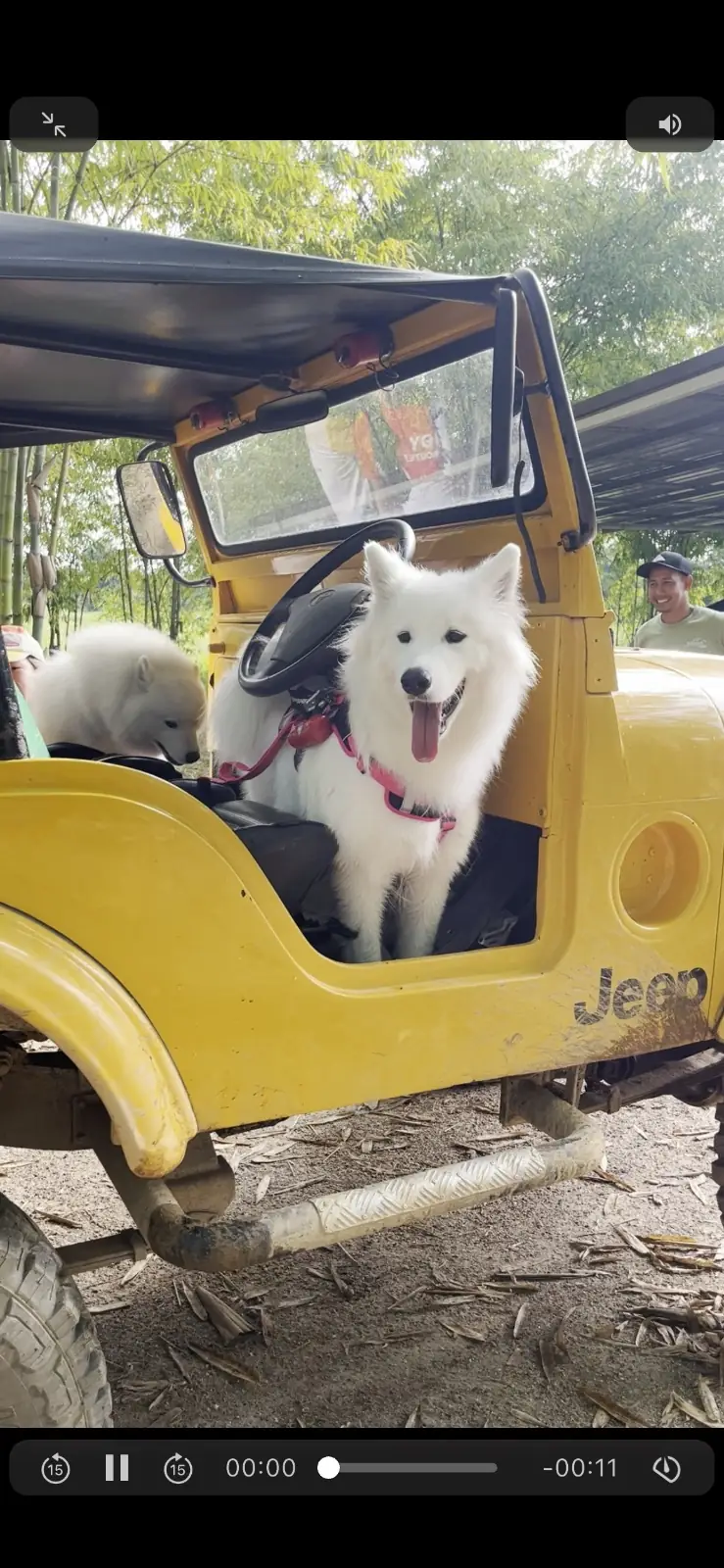 บ้านไร่ชายทุ่ง pets image 2