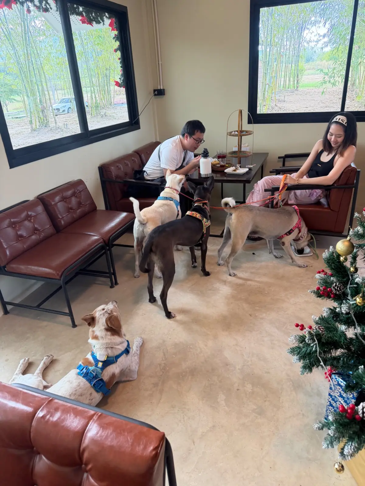 บ้านไร่ชายทุ่ง pets image 6