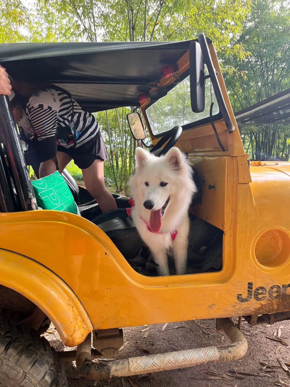 บ้านไร่ชายทุ่ง pets image 4