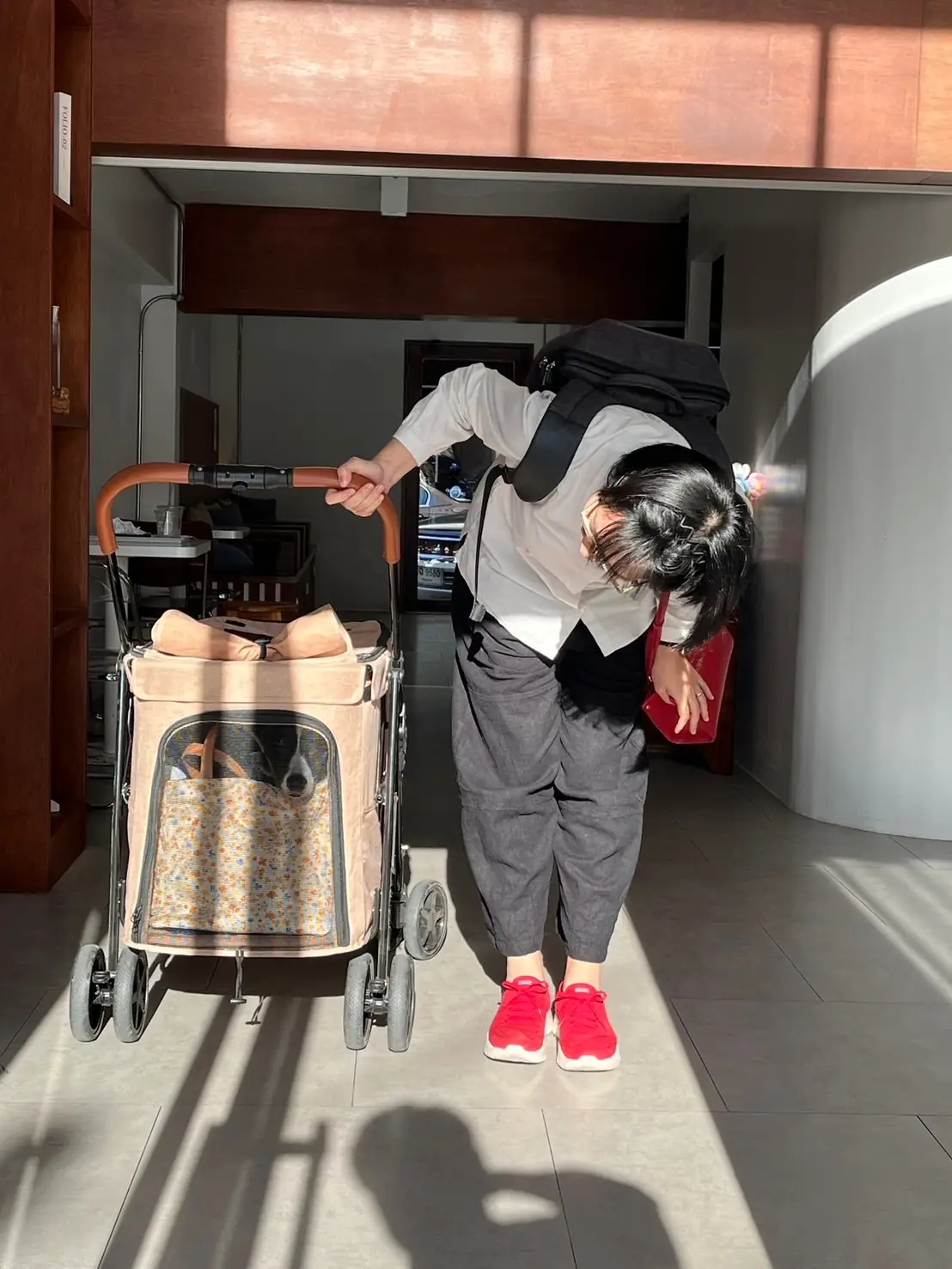 All in White Cafe' pets image 1