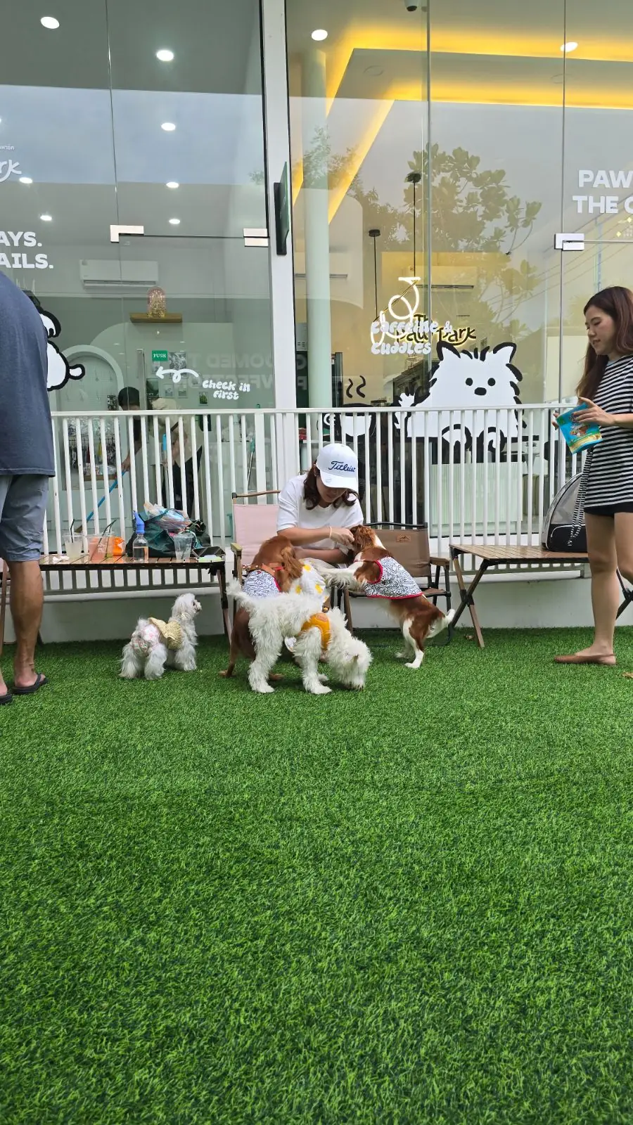 The Paw Park Coffee other image 1