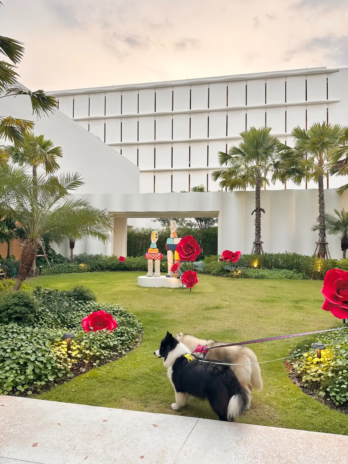 The Standard Hotel Pattaya - Na Jomtien pets image 1