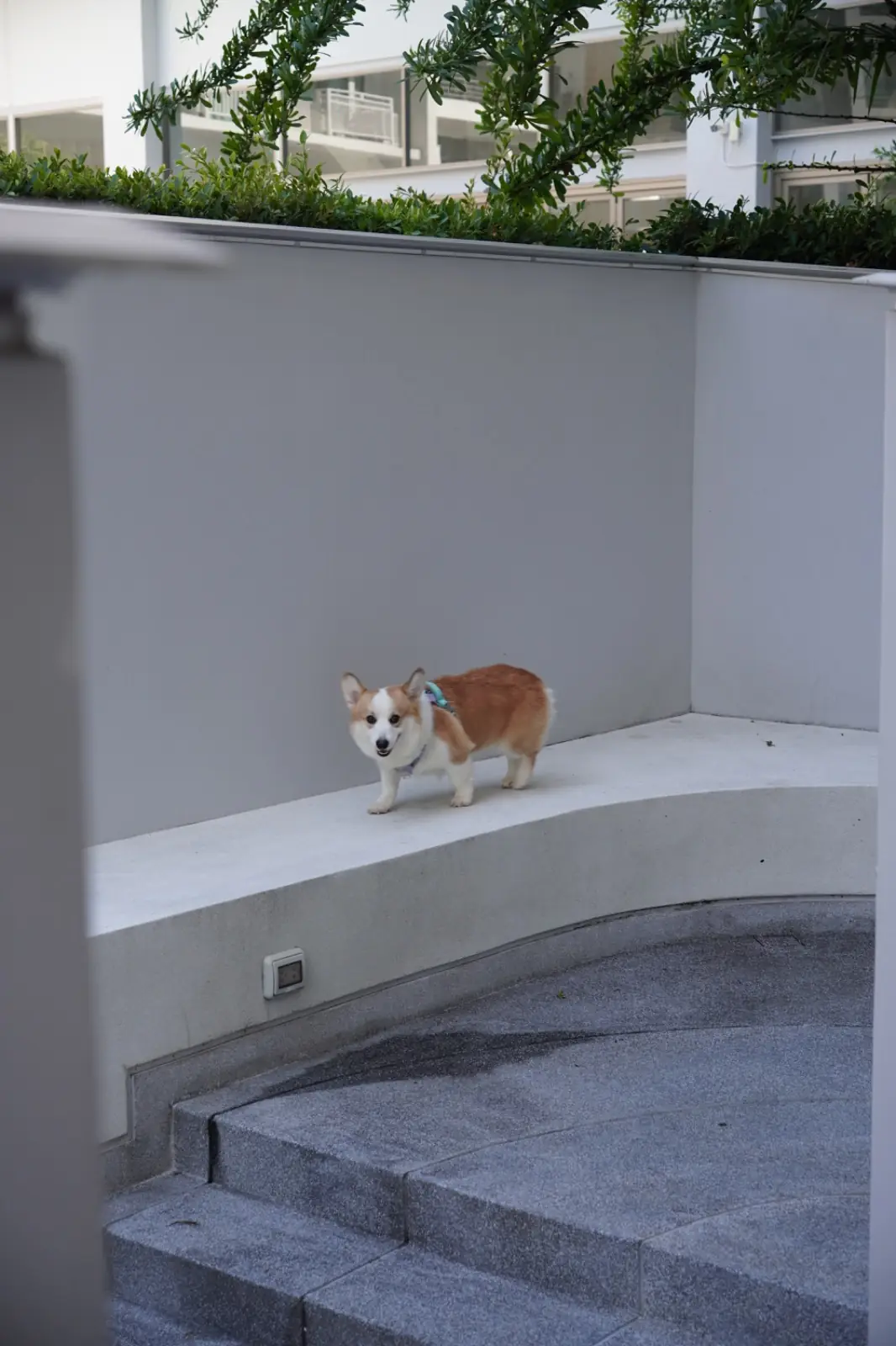 Terra Nara other image 1