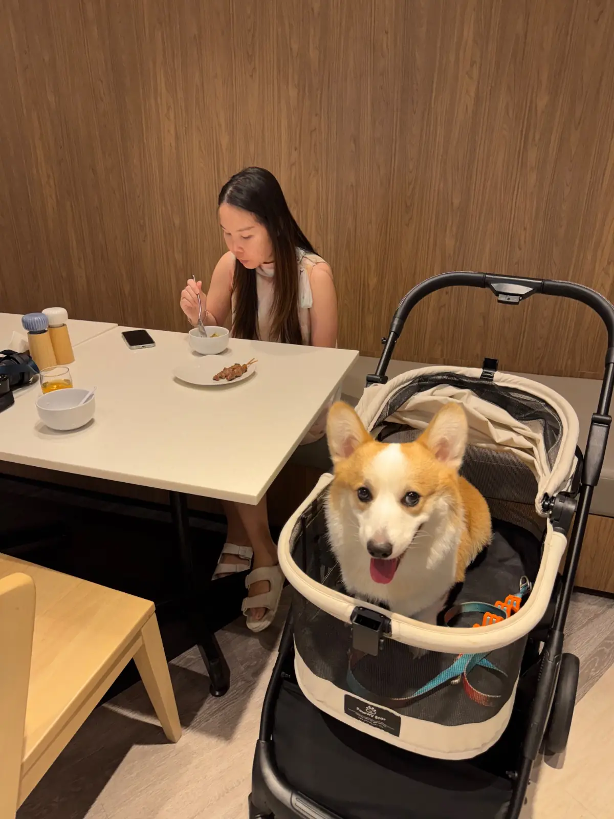 Terra Nara other image 6