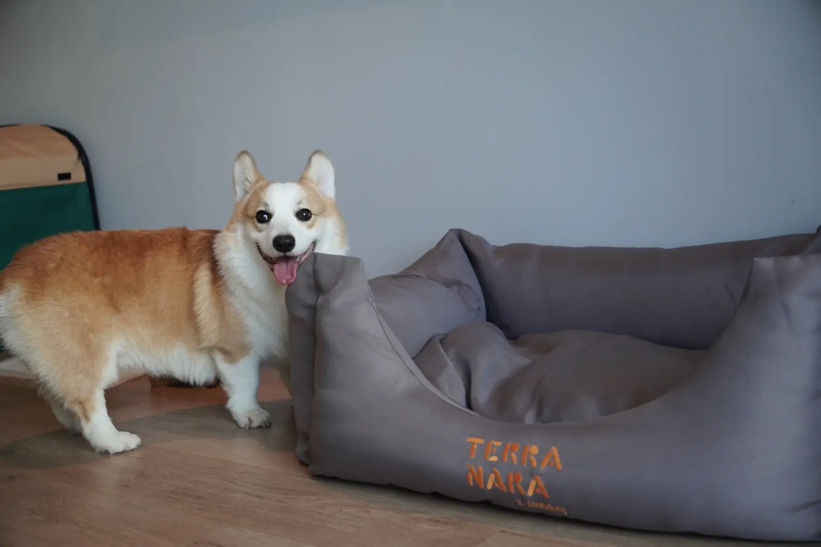 Terra Nara other image 5