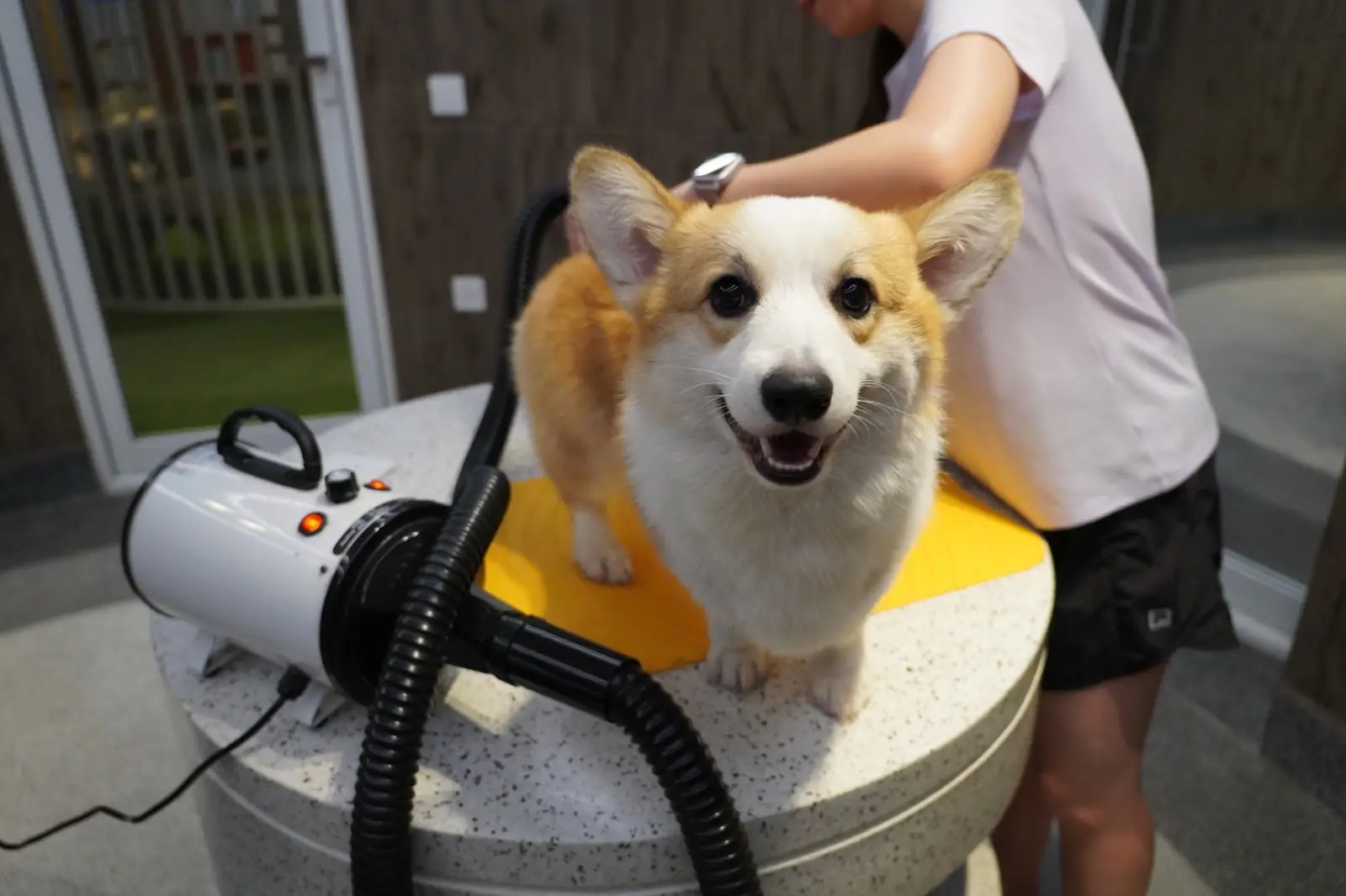 Terra Nara other image 4