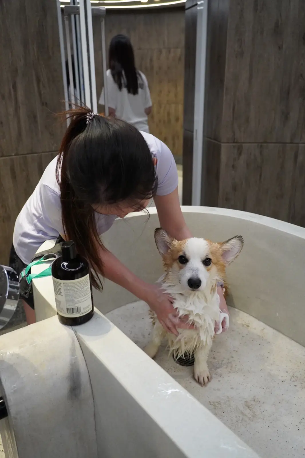 Terra Nara other image 2