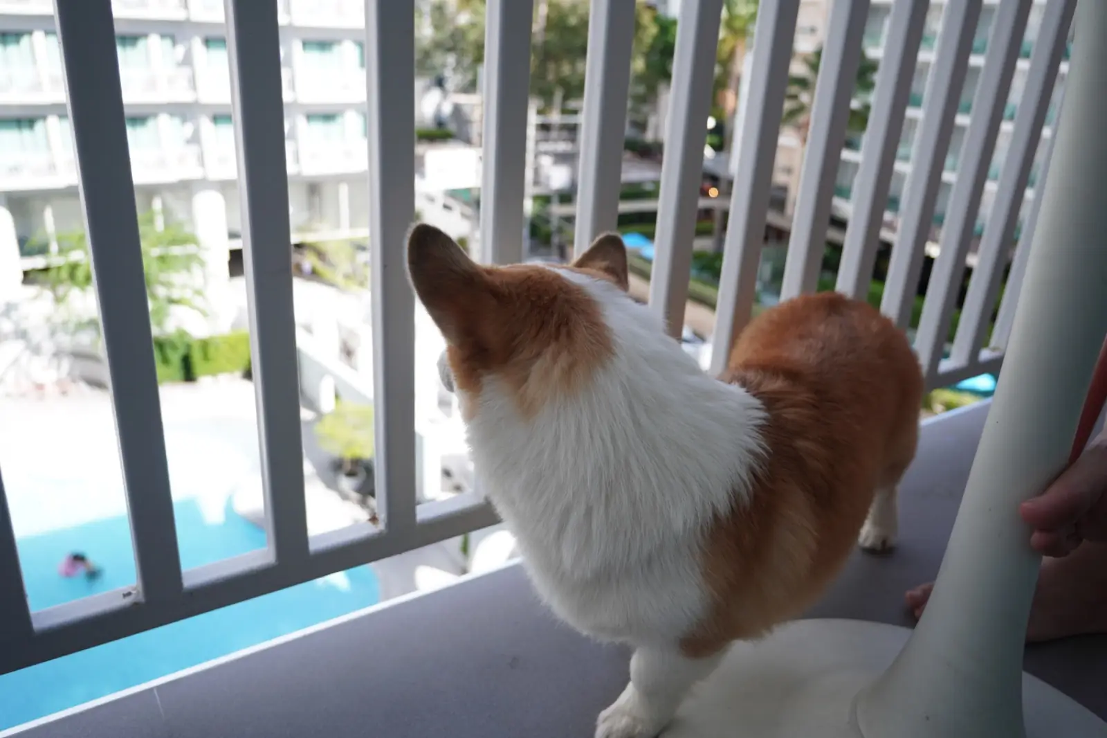 Terra Nara other image 7