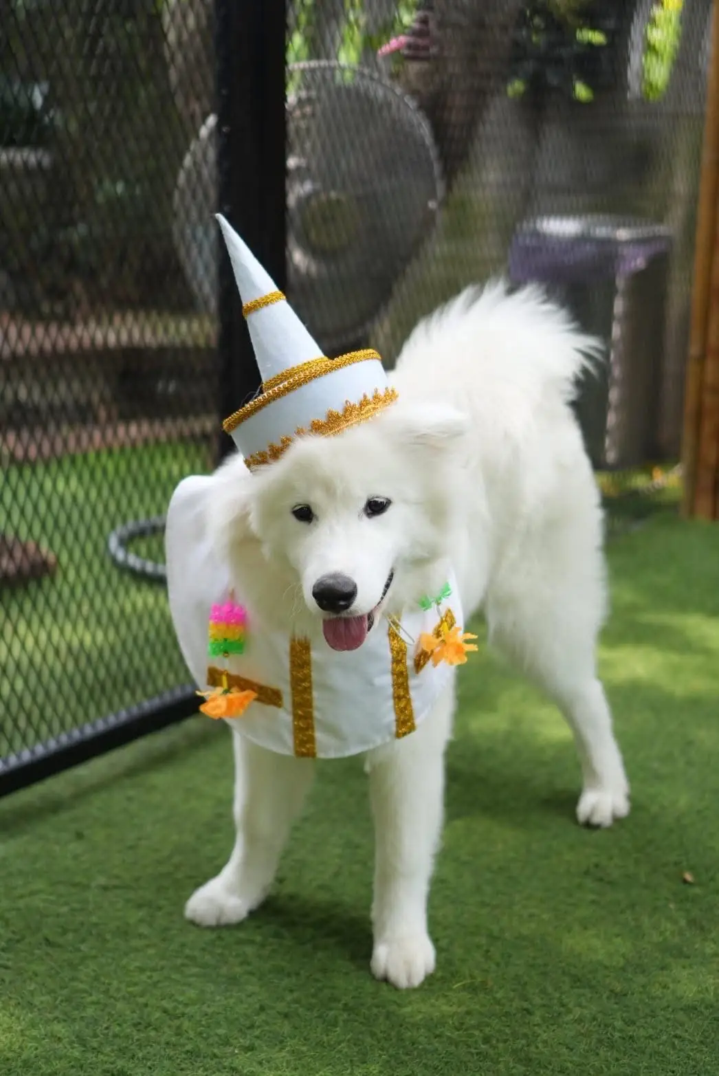 Jungle de Woof pets image 8