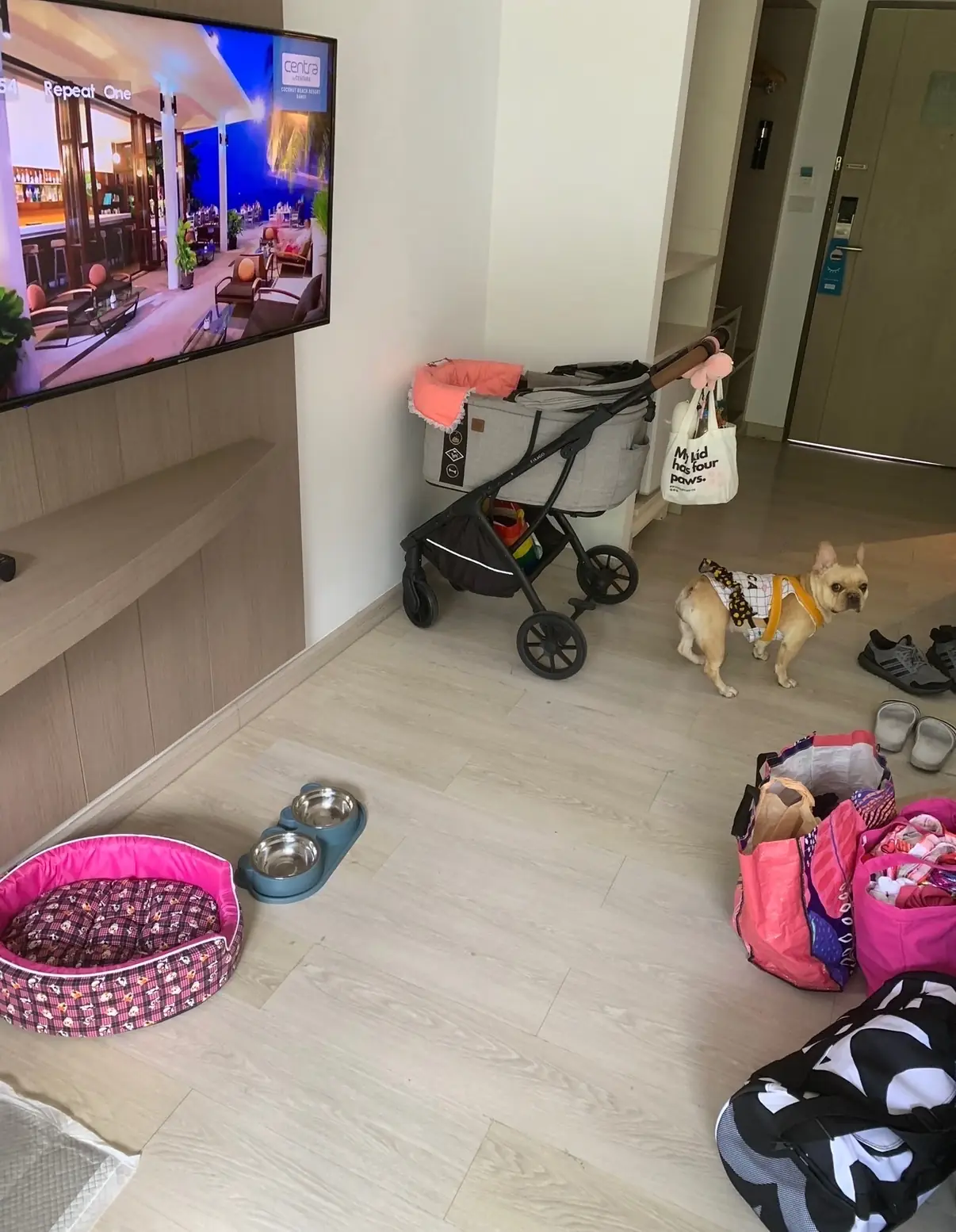 Centara Grand Beach Resort & Spa Hua Hin - Cha-am pets image 1