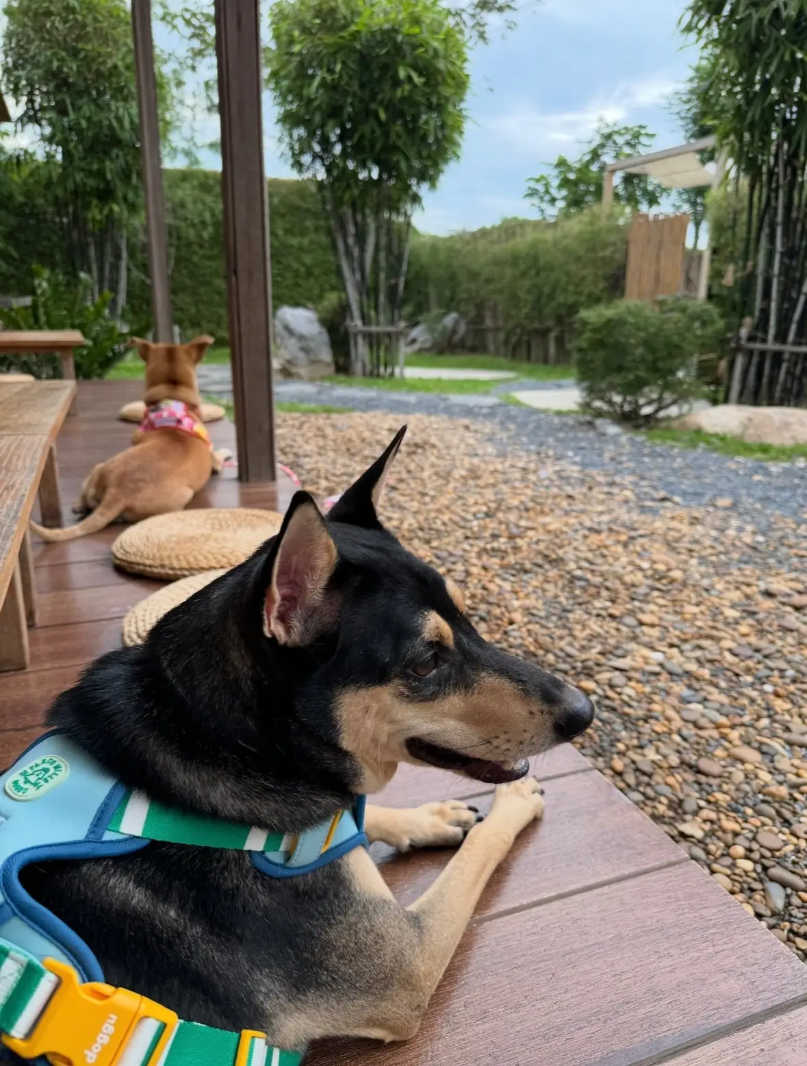 Khaam Khaoyai other image 2