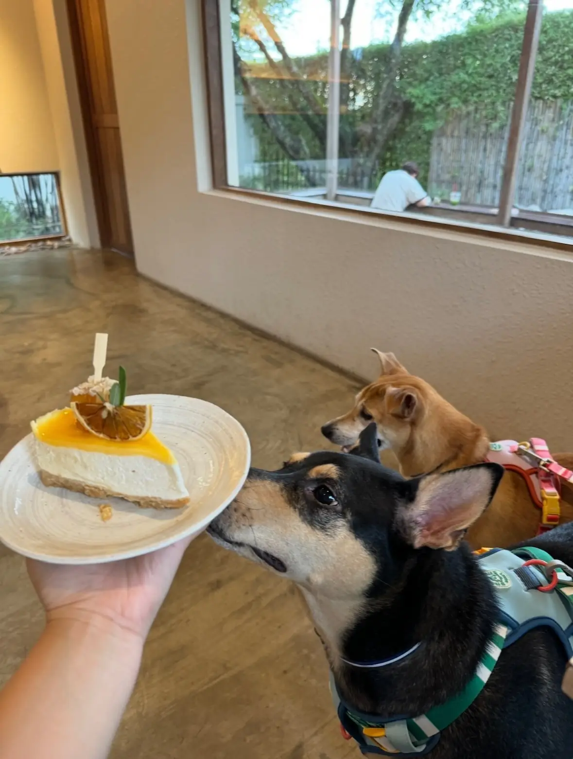 Khaam Khaoyai other image 3