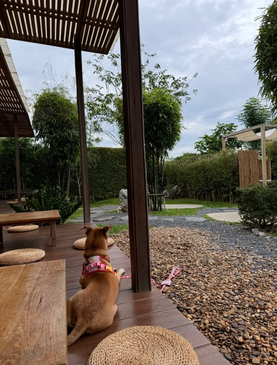 Khaam Khaoyai other image 1