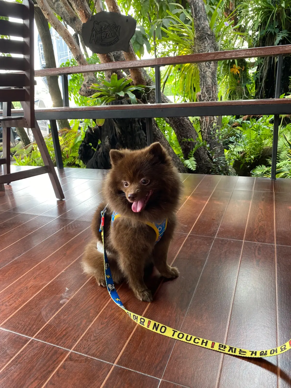 Cafe Amazon - PTT Chaiyapruk pets image 1