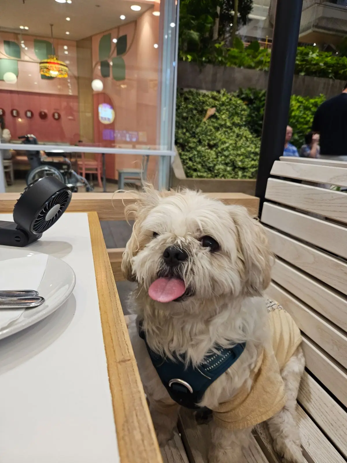 Laem Charoen Seafood - Central Westville pets image 1