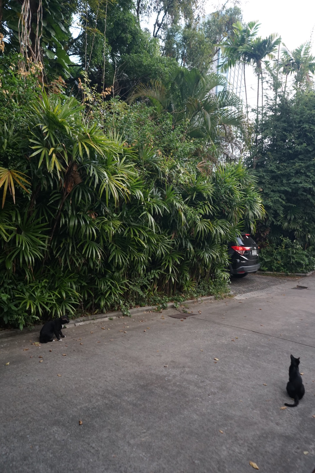 34EIGHT ambiance image 3