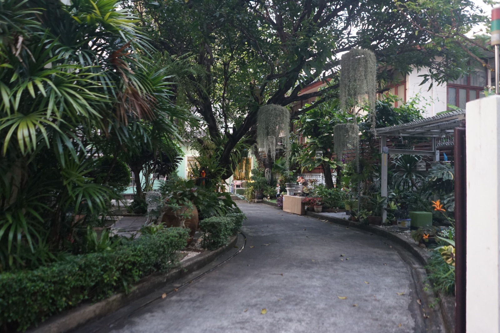 Apfel Cafe ambiance image 3