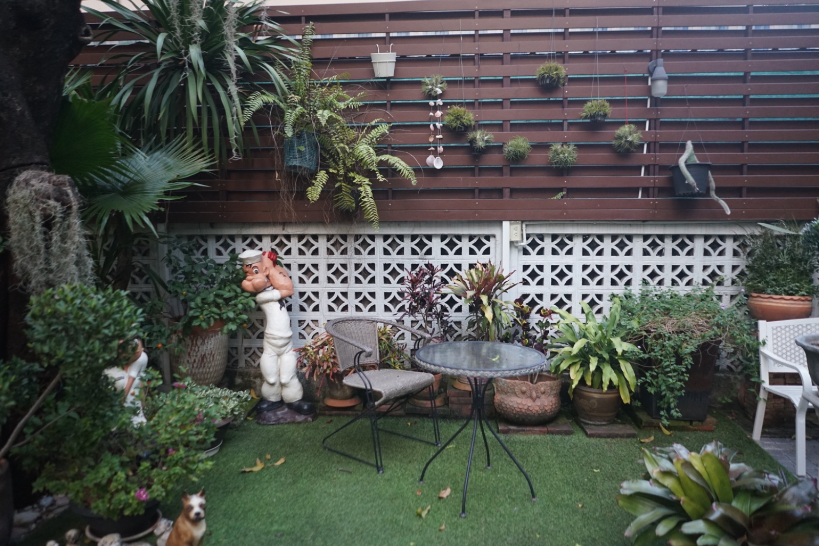 Apfel Cafe ambiance image 5