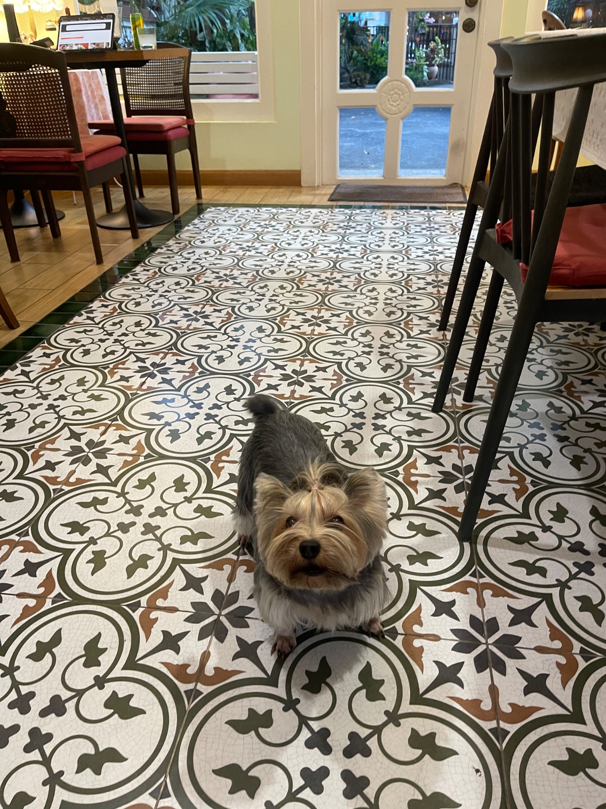 Apfel Cafe overall image 7