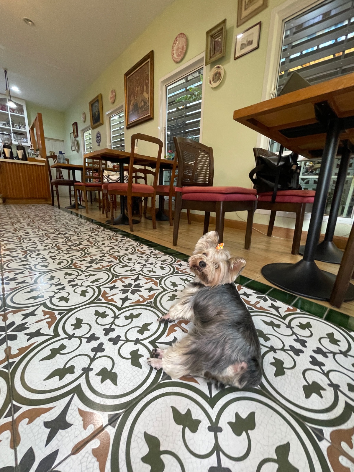 Apfel Cafe overall image 4