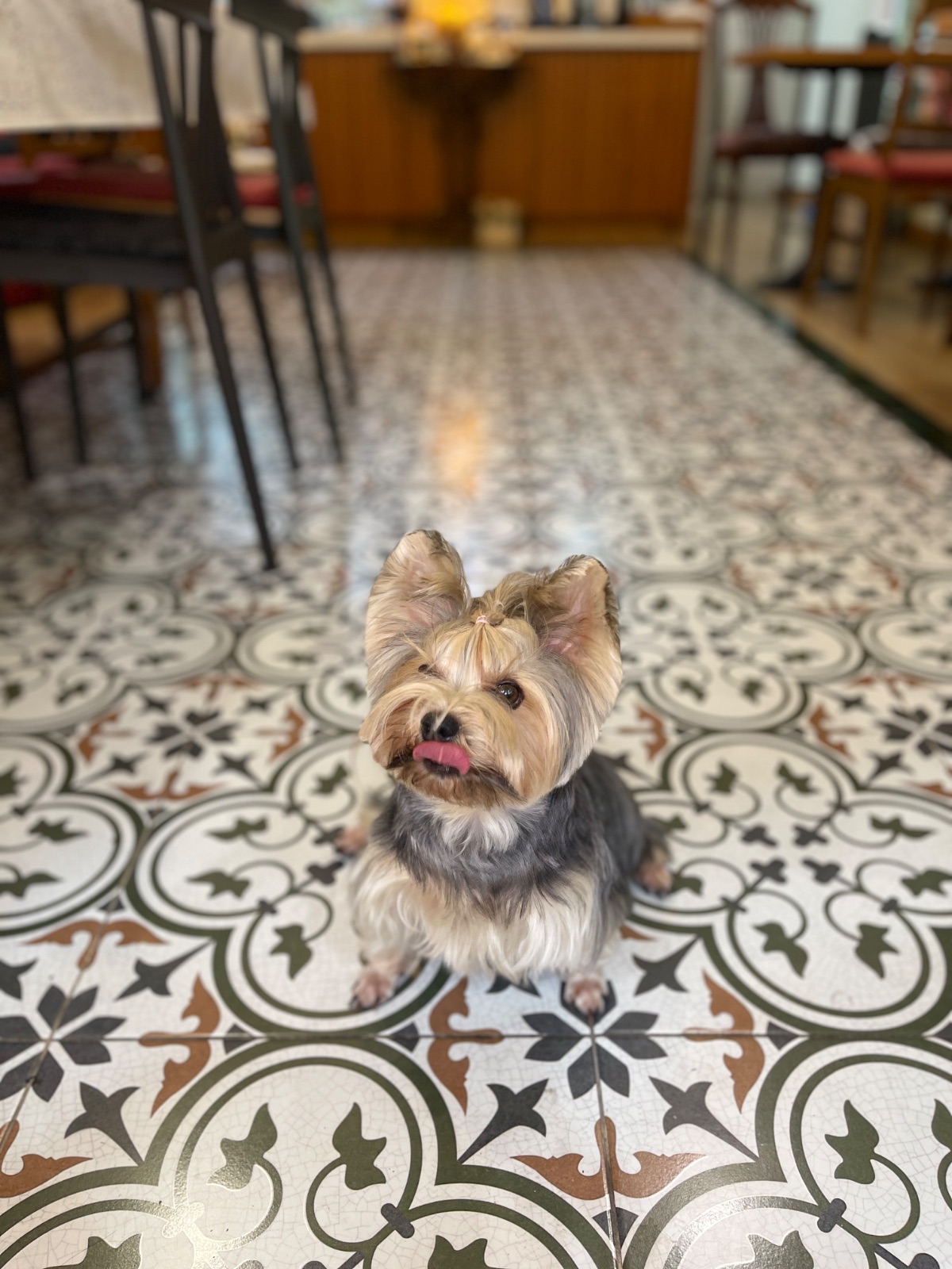 Apfel Cafe overall image 3