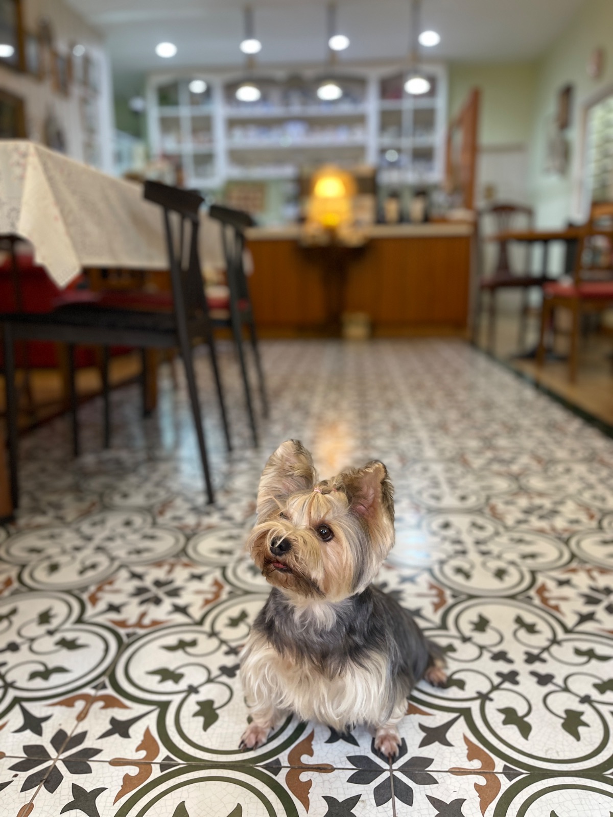 Apfel Cafe overall image 1