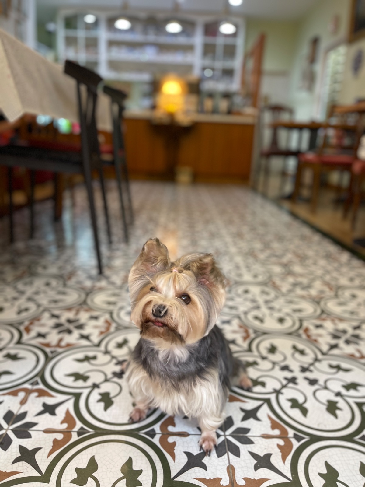 Apfel Cafe overall image 2