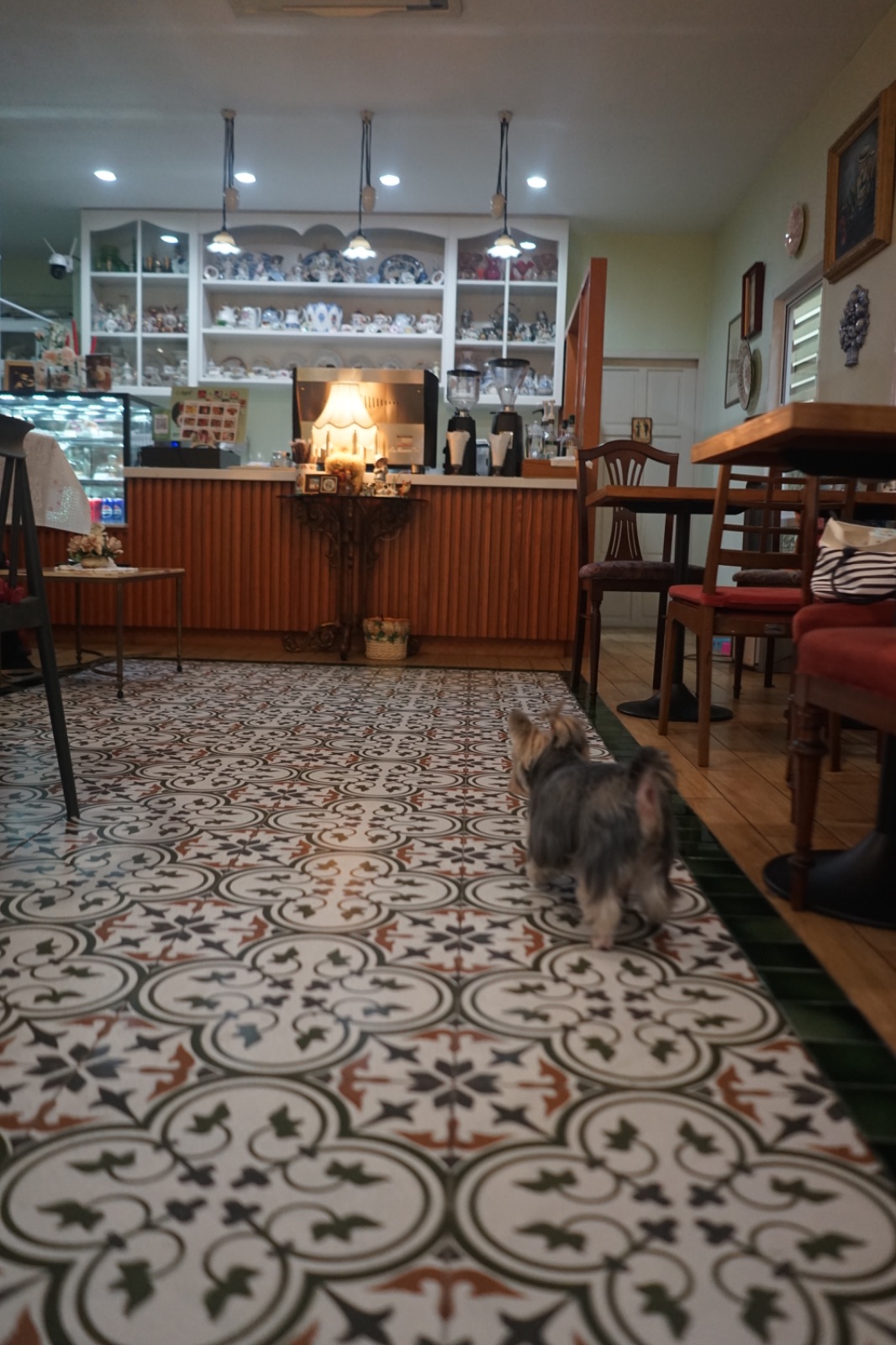 Apfel Cafe pets image 3