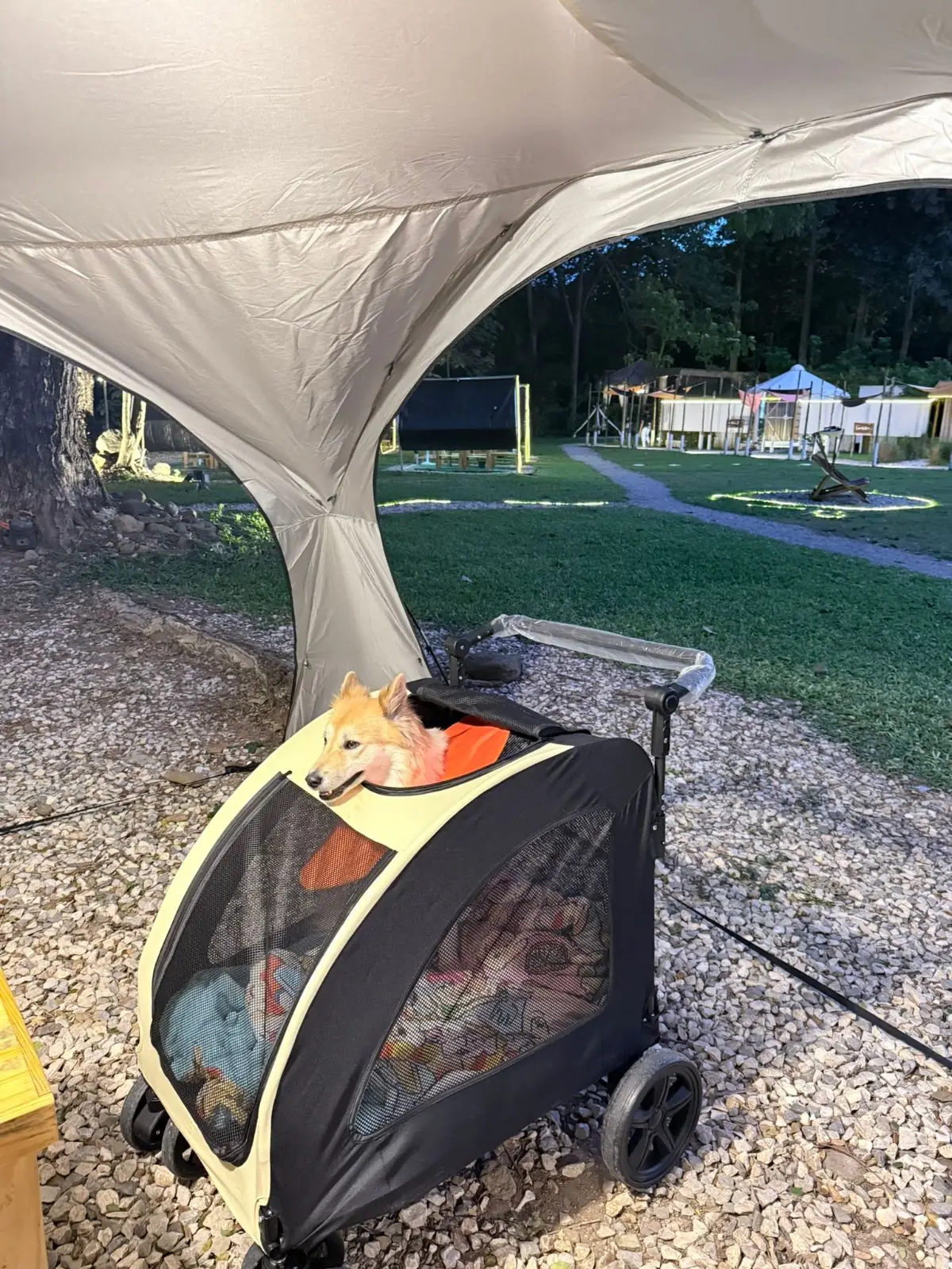 Honeymoon Glamping Khaoyai pets image 4