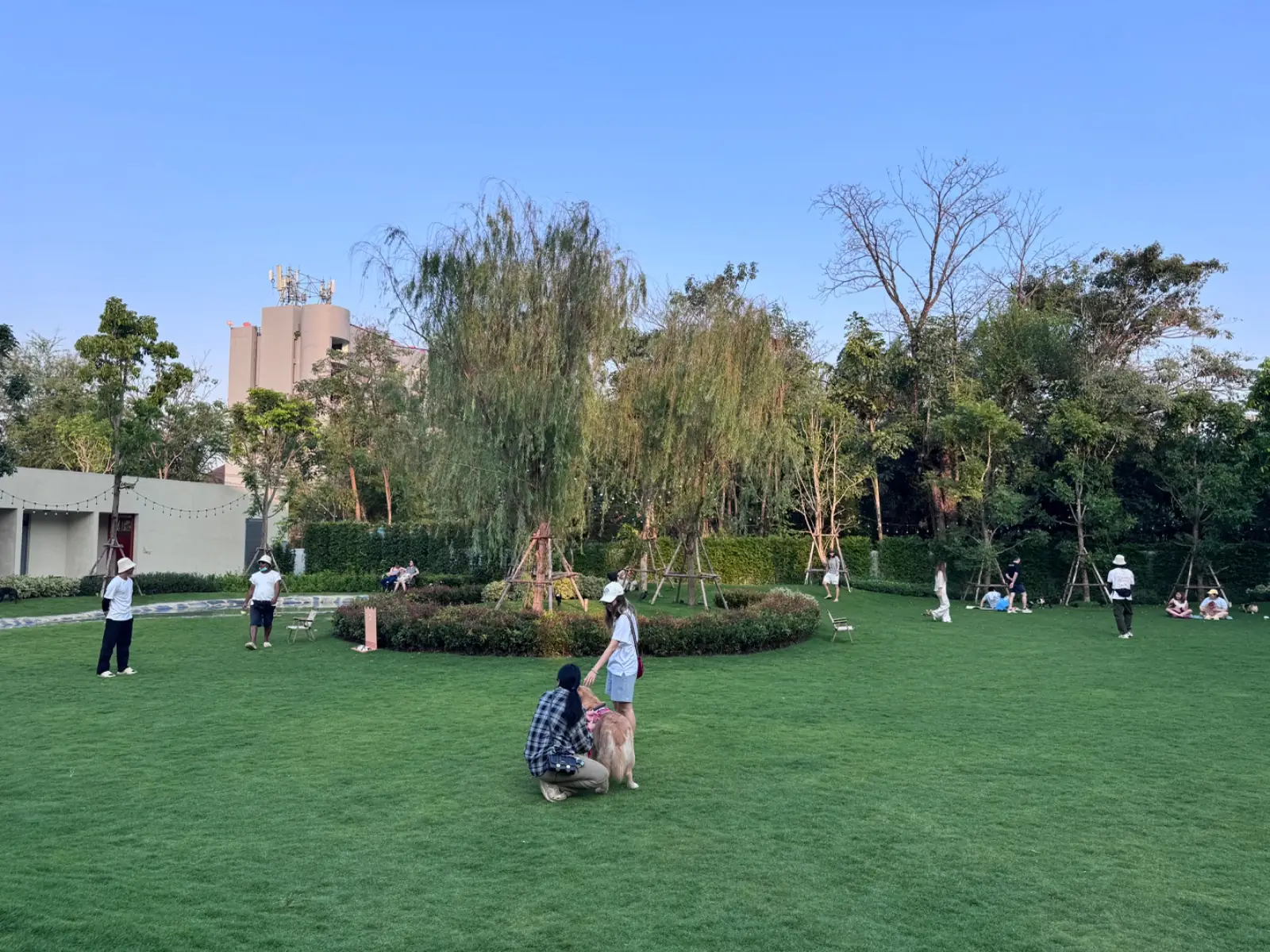 HUND HAUS other image 2