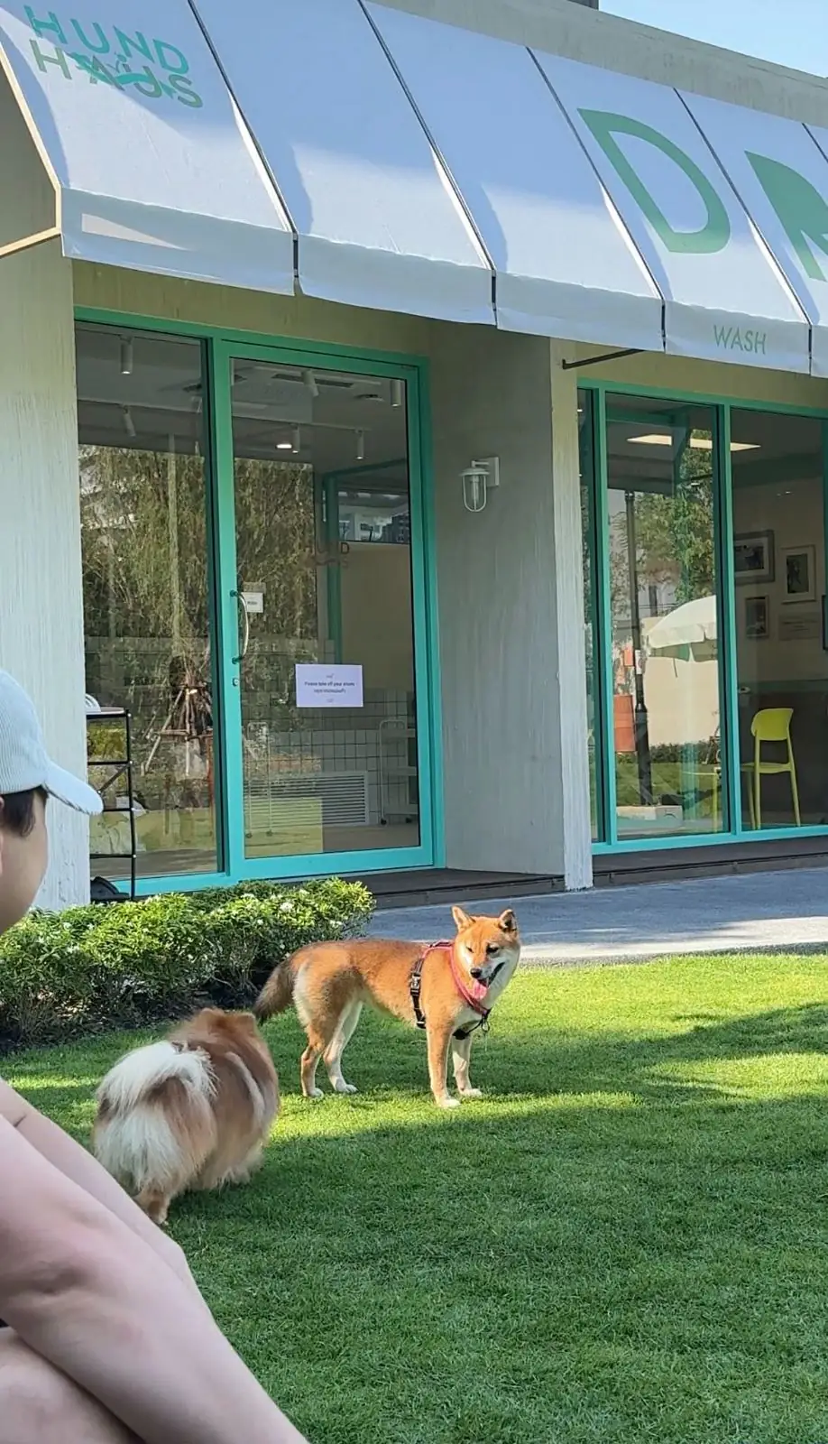 Hund Haus pets image 6