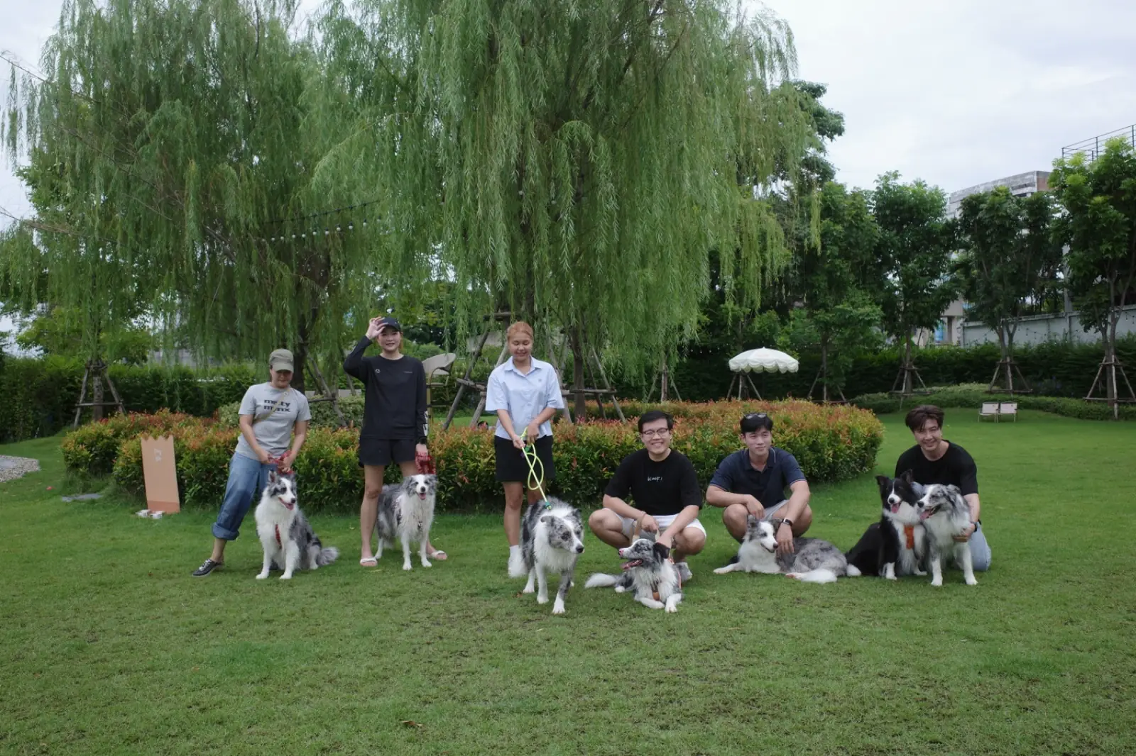 Hund Haus pets image 17