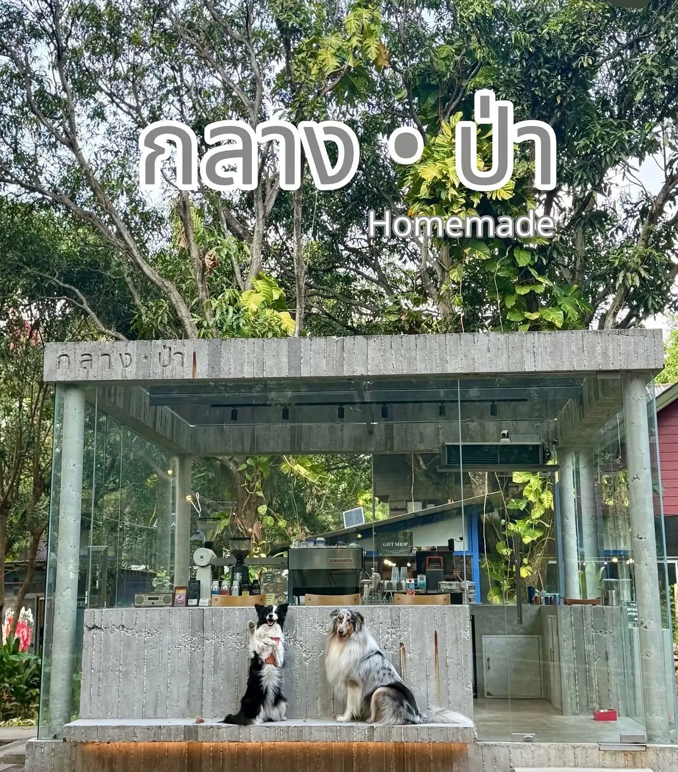 กลาง•ป่า Homemade-Pakchong ambiance image 2