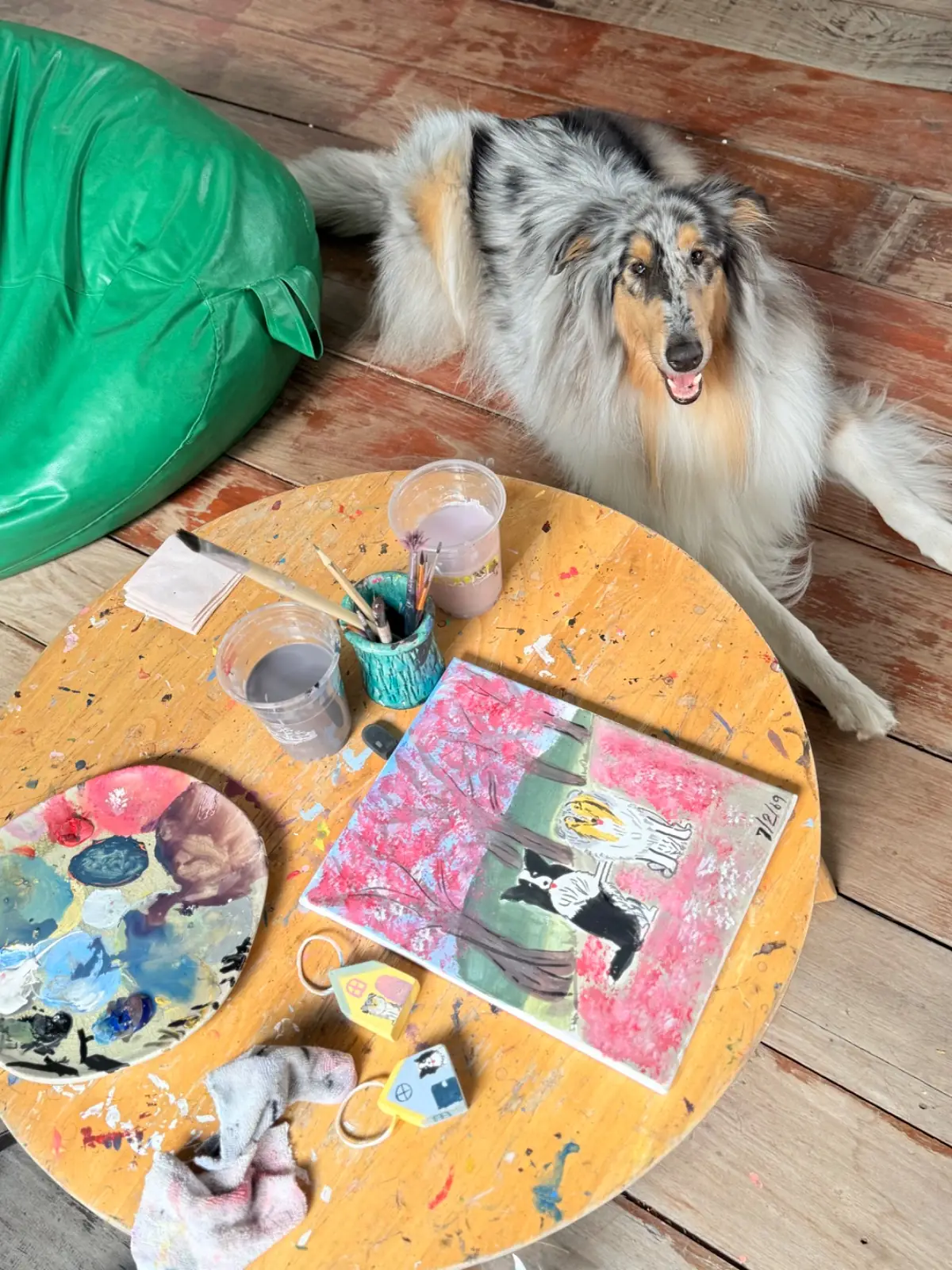 กลาง•ป่า Homemade-Pakchong pets image 1