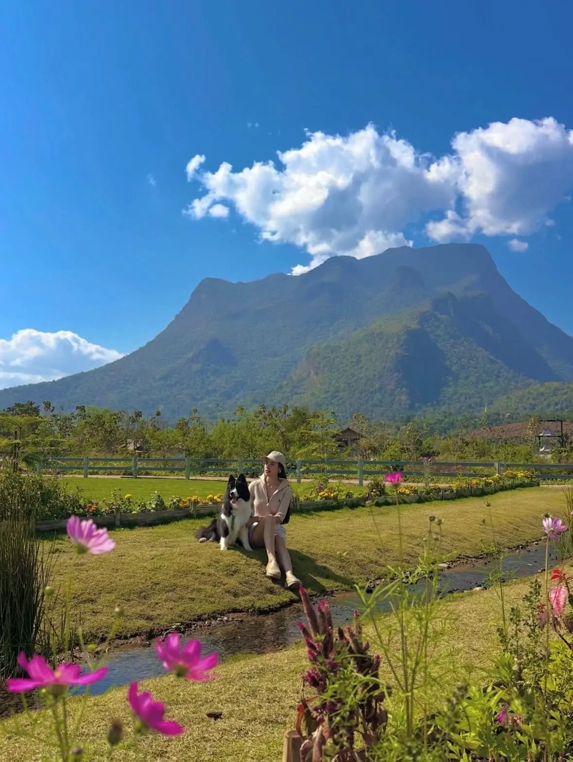 Hey Now Chiang Dao Stay pets image 1