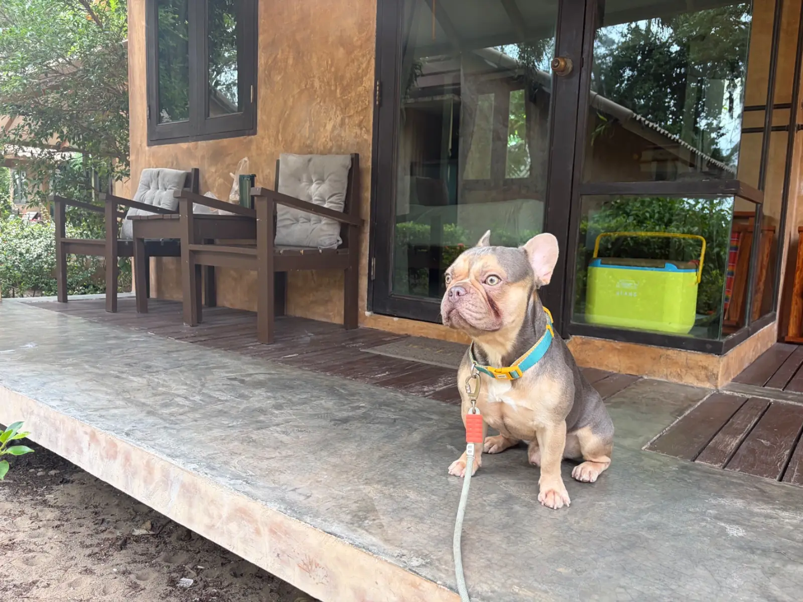 Flora i talay Resort pets image 3