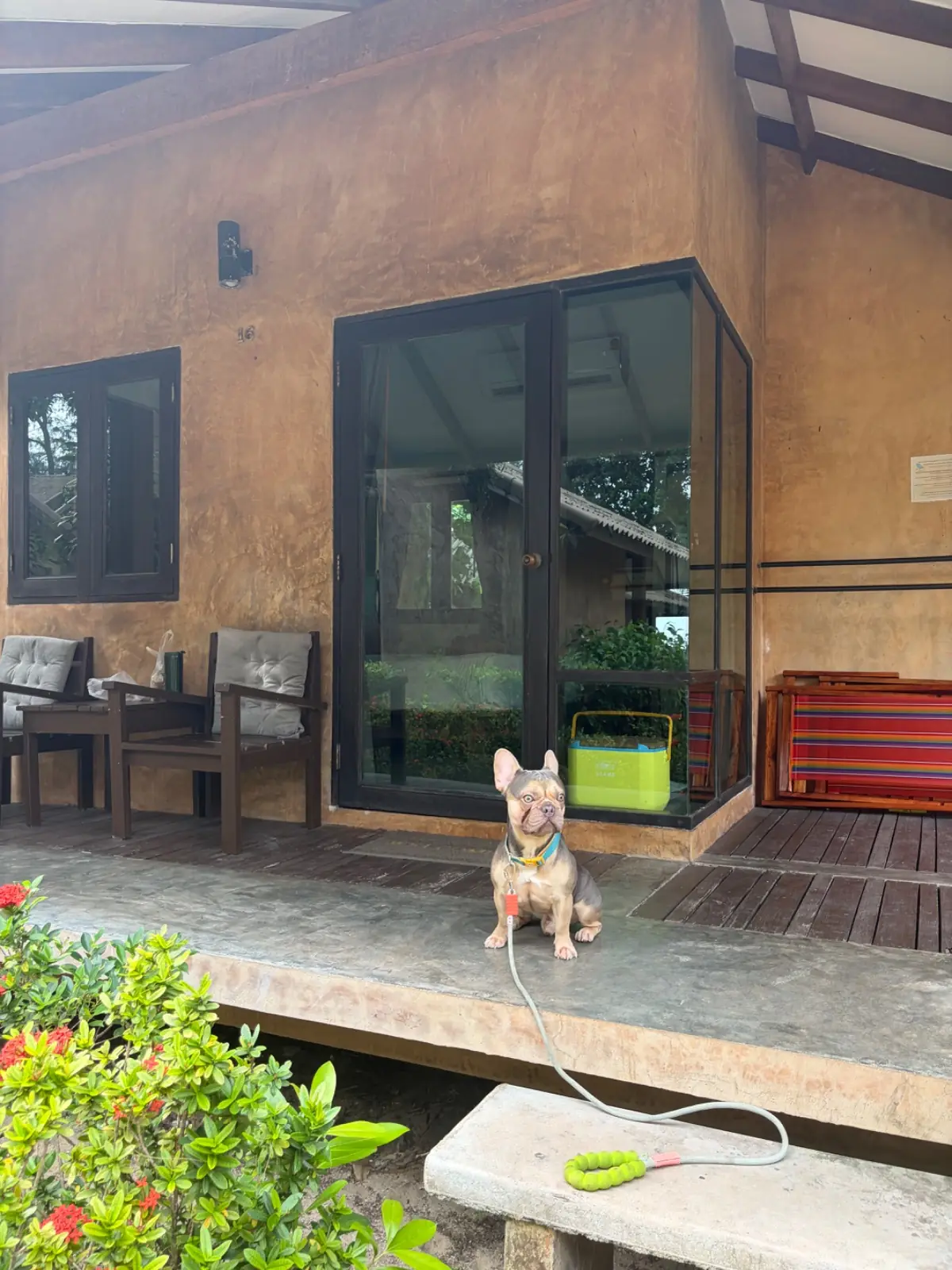 Flora i talay Resort pets image 1