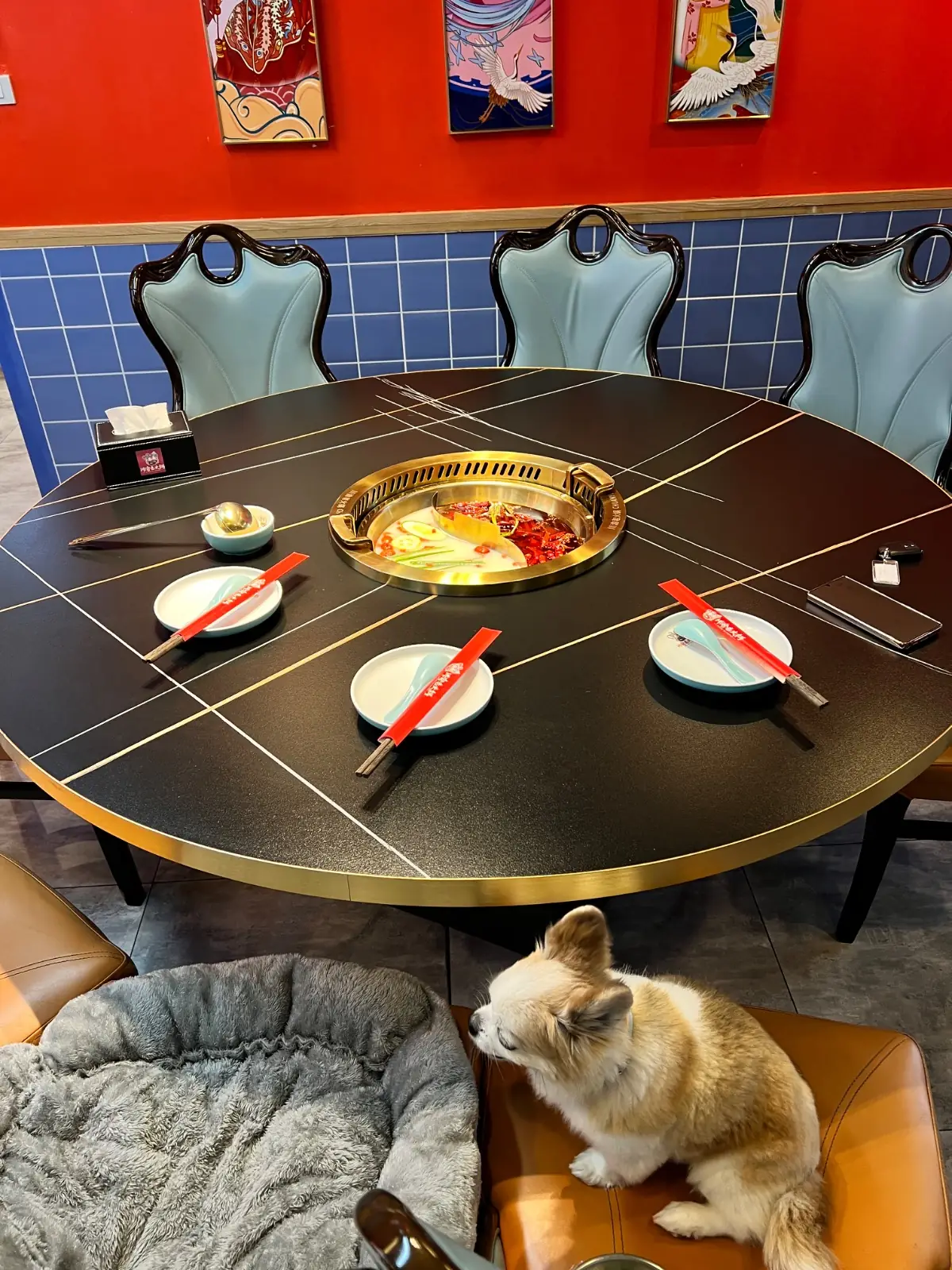 Chuan Yu Mala Hotpot pets image 1