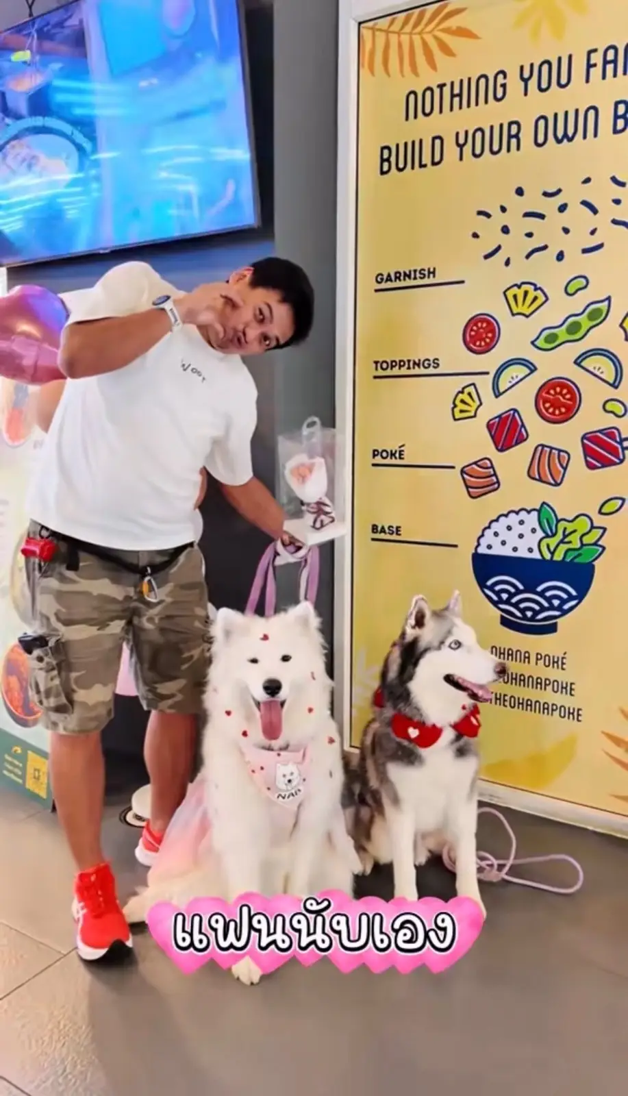 Habito Mall pets image 1